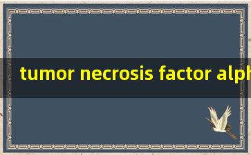 tumor necrosis factor alpha 洗牙